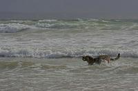 Cjp_2010_07_14_165220-1.jpg