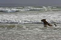 Cjp_2010_07_14_165220-2.jpg