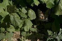 Cjp_2010_08_31_154259.jpg