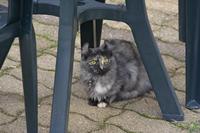 Cjp_2010_10_03_084924.jpg