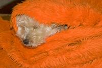 Cjp_2011_02_18_152029.jpg