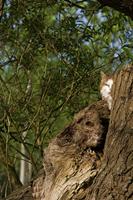 Cjp_2011_04_10_072359.jpg