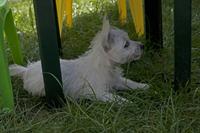 Cjp_2011_04_10_144745.jpg