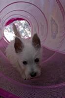 Cjp_2011_04_10_155948.jpg