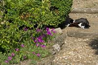 Cjp_2012_06_08_155540.jpg