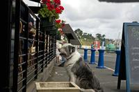 Cjp_2012_07_14_115348.jpg