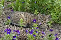 Cjp_2013_06_29_153049.jpg