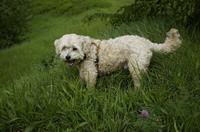 Cjp_2014_05_09_063848.JPG