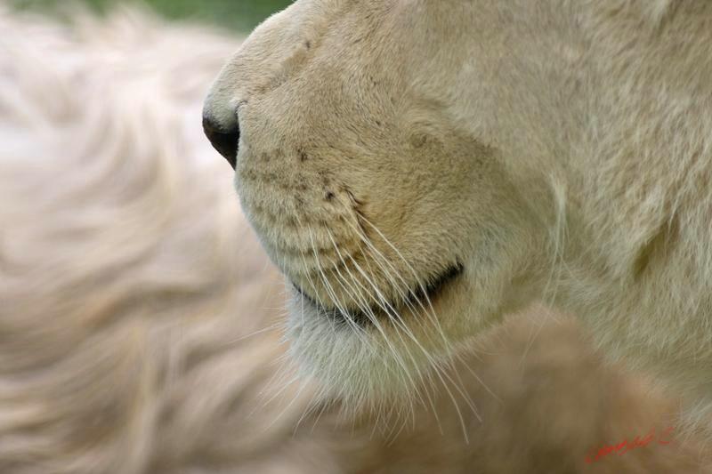 Cjp_2008_05_23_151500.jpg