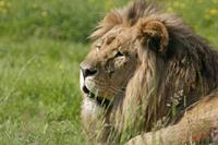 Cjp_2008_05_23_102558.jpg