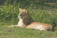 Cjp_2008_05_23_102808.jpg