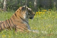 Cjp_2008_05_23_114529.jpg