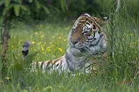 Cjp_2008_05_23_115657.jpg