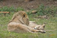 Cjp_2008_05_23_134737.jpg