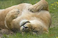 Cjp_2008_05_23_134759.jpg