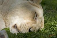Cjp_2008_05_23_144652.jpg