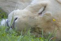 Cjp_2008_05_23_145023.jpg