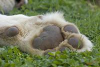 Cjp_2008_05_23_151355.jpg