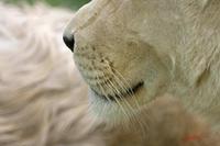 Cjp_2008_05_23_151500.jpg