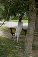 Cjp_2008_07_12_160403.jpg