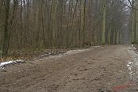 Cjp_2009_02_13_160222.jpg