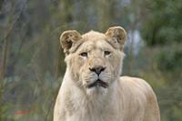 Cjp_2009_02_23_110236.jpg