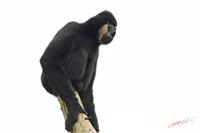 Cjp_2009_02_23_112422_R2.jpg