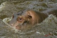 Cjp_2009_02_23_114011.jpg