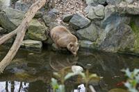 Cjp_2009_02_23_115850.jpg