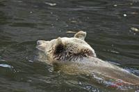 Cjp_2009_02_23_115929.jpg