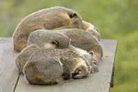 Cjp_2009_02_23_120319.jpg