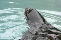 Cjp_2009_02_23_121600.jpg