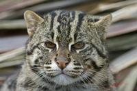 Cjp_2009_02_23_123036.jpg