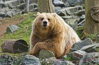 Cjp_2009_02_23_124620_R.jpg
