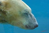 Cjp_2009_02_23_130650_R2.jpg
