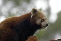 Cjp_2009_02_23_131140.jpg