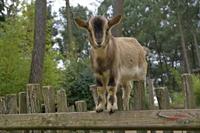 Cjp_2009_02_23_131922.jpg