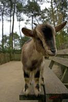 Cjp_2009_02_23_131946.jpg