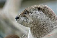 Cjp_2009_02_23_133717.jpg