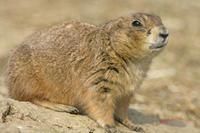 Cjp_2009_04_06_094947.jpg