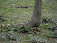 Cjp_2009_04_06_100217_R.jpg