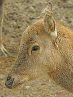 Cjp_2009_04_06_100830_R.jpg