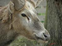Cjp_2009_04_06_100957_R.jpg
