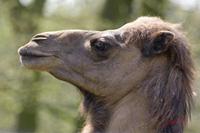Cjp_2009_04_06_114252.jpg