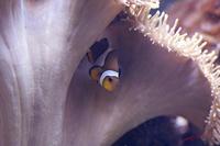 Cjp_2009_04_09_092649.jpg
