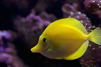 Cjp_2009_04_09_092733.jpg