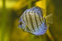 Cjp_2009_04_09_093040.jpg
