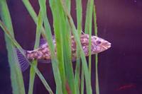 Cjp_2009_04_09_101522.jpg