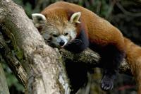 Cjp_2009_04_14_095958.jpg