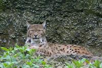 Cjp_2009_04_14_101003.jpg